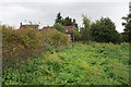 Corner of a field by Webb