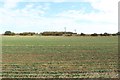 NZ3861 : Arable field south of Cleadon by Graham Robson