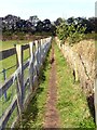 Narrow fenced footpath