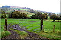 Muddy entrance to field, Upper Landahussy