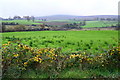 Upper Landahussy Townland