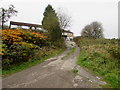 Road towards Lewis Arms Row, Penrhiwfer