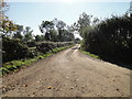 Farm track at Clipstone