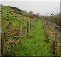 Fenced grassy track towards Williamstown Primary School