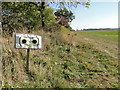 Watchful owl in a field adjacent to Jordan Lane