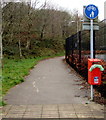 Combined footpath and cycleway past the edge of  Williamstown Primary School