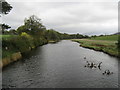 NY1633 : River Derwent by T  Eyre