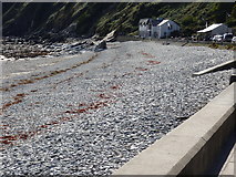 SC4483 : Laxey:  Beach looking south by Dr Neil Clifton
