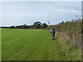 Walking a footpath at the field edge near Longden Common