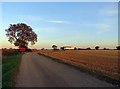 Track from Glebe Farm towards Pasture Lane North