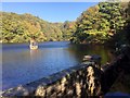 Mosshouse Wood Reservoir