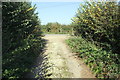 Junction of farm track with minor road