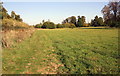 Footpath fringing Home Wood and heading towards Harleyford Lane