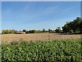 Croft Farm from River Lane