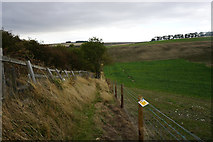 TA0676 : Yorkshire Wolds Way towards Stocking Dale by Ian S