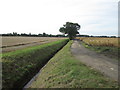 Drain and farm track towards Rose Thorpe Park