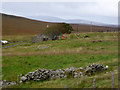 Farm near Trondavoe