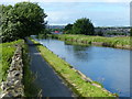 Leeds and Liverpool Canal on the Burnley embankment