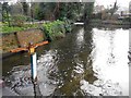 River Lee in Wheathampstead (3)