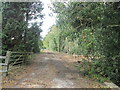 Track off Campey Lane towards Melbourne Hall