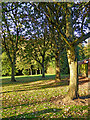 Autumn in Muchall Park, Penn, Wolverhampton