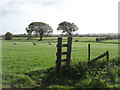 NY1749 : Fields south of Abbeytown by David Purchase