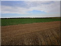 Field near Field House Farm