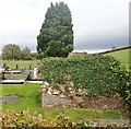 Burial vault at Clonduff Presbyterian Church, Ballynagappoge