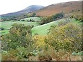 SO1527 : Western slopes of Mynydd Llangorse by Philip Halling
