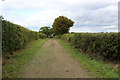 Track between Hedges heading towards Hayron