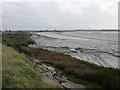 Mudflats and the River Forth