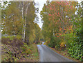 The Glen Roy road, in autumn