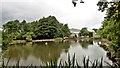 Pond by Sutton Grange Farm