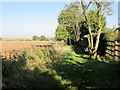 Field  edge  footpath  north  side  of  Little  Weighton