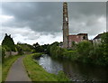 Susan Mill next to the Leeds and Liverpool Canal