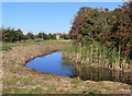 Pond at Middle Farm, Water Eaton