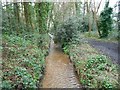 Fleet: Brookly Stream in Oakley Park