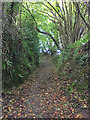 Green lane to South Knighton