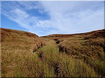 NC6023 : Upper Reaches of Tributary of Allt Gobhlach by Chris and Meg Mellish