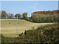 N5571 : Hillside overlooking Lough Bane by Oliver Dixon