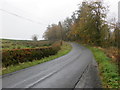 Road beside Byreburn Wood