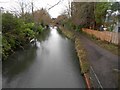 Basingstoke Canal: View from Old Pondtail Bridge