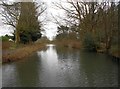 Basingstoke Canal: View from New Pondtail Bridge