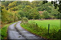 Track to Harrow Farm