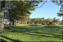 NX1897 : Autumn at Victory Park Garden, Girvan by Billy McCrorie
