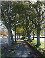 Footpath at North Park Avenue, Girvan