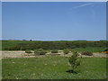 Farmland at Keppols Bridge, Islay