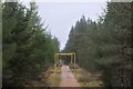 NH7140 : Track and power line, Daviot Wood by Jim Barton