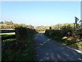 Country lane near Rhyd-y-Meudwy