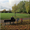 Vinery Road Rec in autumn